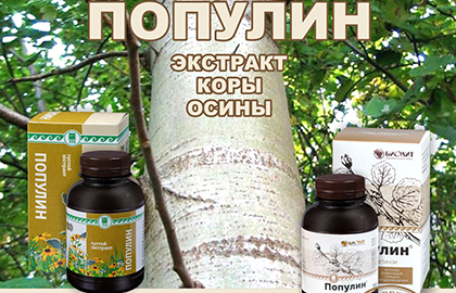 Популин — здоровье от природы. Кора Осины не только для зайцев!