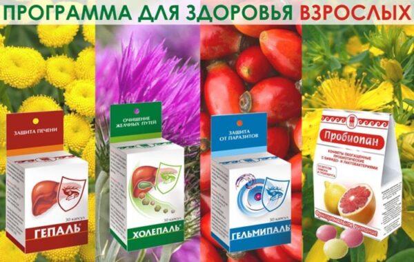«ЛЕТНИЙ ДЕТОКС: ЭФФЕКТИВНАЯ ОЧИСТКА ОРГАНИЗМА»