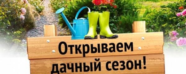 Дачный сезон — время здоровья и энергии!