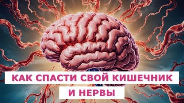 Как гармонизировать состояние нервной системы и профилактировать стрессы