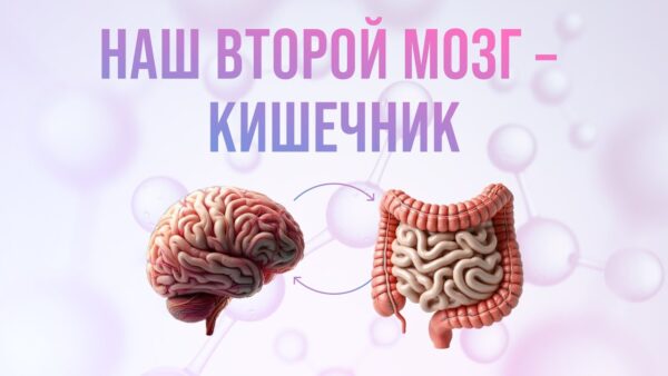 Как гармонизировать состояние нервной системы и профилактировать стрессы
